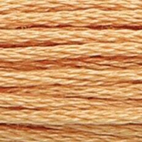 0362 муліне Anchor Nutmeg Medium Light