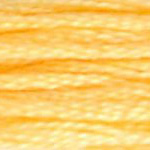 0019 муліне DMC 19 Autumn Gold Medium Light