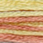 4508 муліне DMC Coloris Frosted Countryside