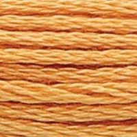 0363 муліне Anchor Nutmeg Medium