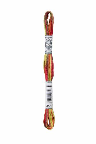 4510 муліне DMC Coloris Maple фото 3