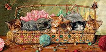 Набір для вишивання хрестиком Kitty Litter, Dimensions 35184