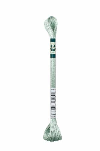 S504 віскозне муліне DMC Satin Rosemary Green фото 2