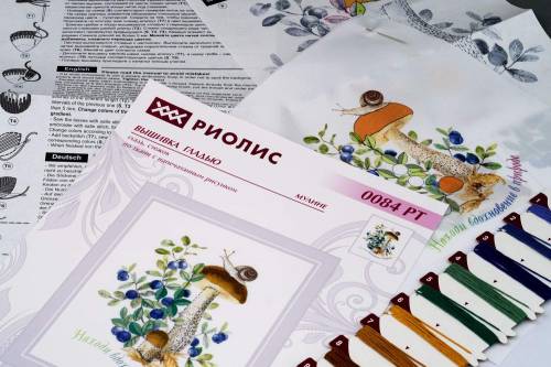 Набор для вышивки гладью Подберезовик. Гладь Риолис РТ-0084 фото 2