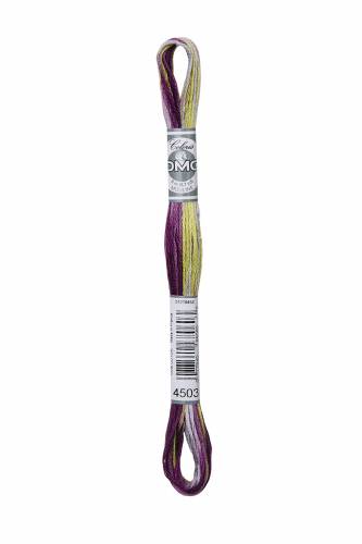4503 муліне DMC Coloris Wisteria фото 2